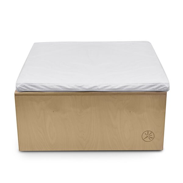 Vibro Acoustic Platform - Image 2